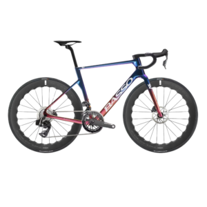 Basso SV